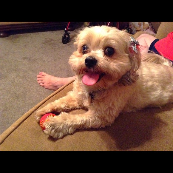 Meet your Posher, Debbie - Picture 8 of 8